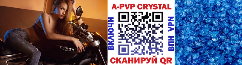 A PVP СК  Новоузенск 