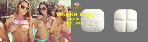 не бодяженный Алзамай