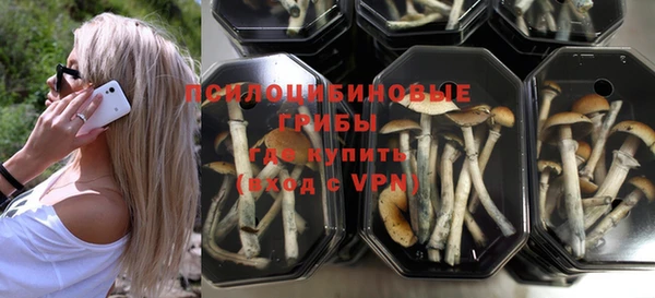 не бодяженный Алзамай