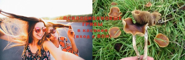 не бодяженный Алзамай