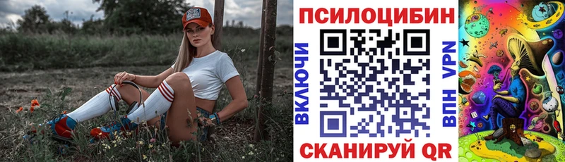 Псилоцибиновые грибы Psilocybe  магазин продажи   Новоузенск 